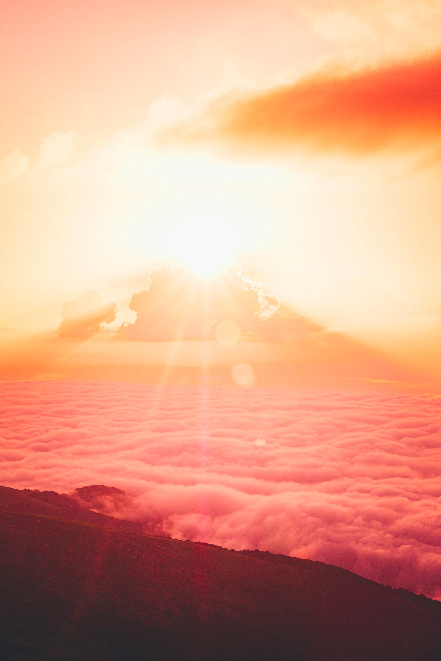 Der Zorn, die Sanftmütigkeit, die Rettung und das Licht